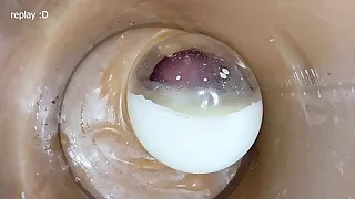 Porn Twink Free 11